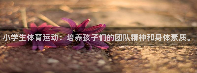 JJB竞技宝官网下载平台注册：小学生体育运动：培养孩