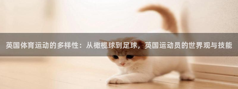 JJB竞技宝官方正版app娱乐网站：英国体育运动的多