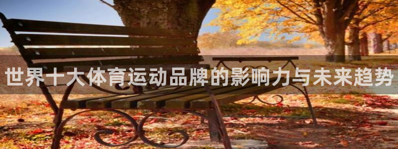 德国JJB竞技宝官方正版app集团：世界十大体育运动