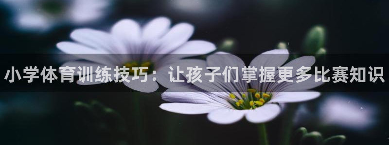 JJB竞技宝官网下载招商电话号码是多少：小学体育训练