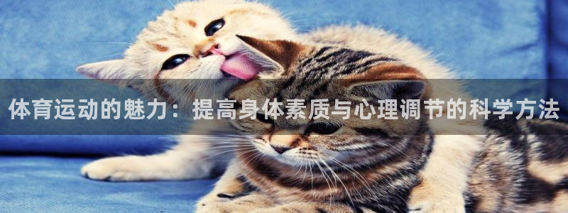 JJB竞技宝官方正版app集团官网首页：体育运动的魅