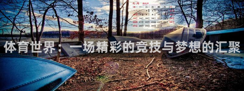 JJB竞技宝官网下载招商电话是多少啊：体育世界：一场精彩的竞
