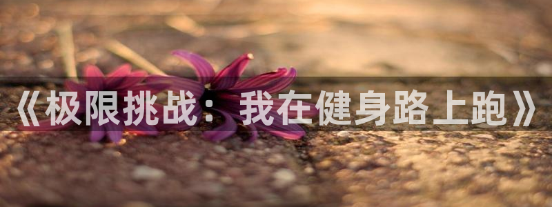 JJB竞技宝官方正版app开户：《极限挑战：我在健身