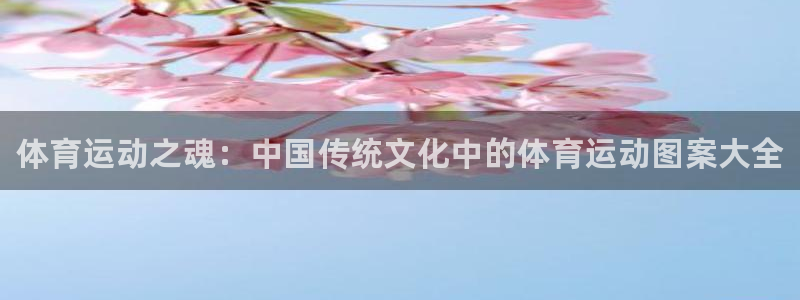 JJB竞技宝官网下载是干嘛的公司：体育运动之魂：中国