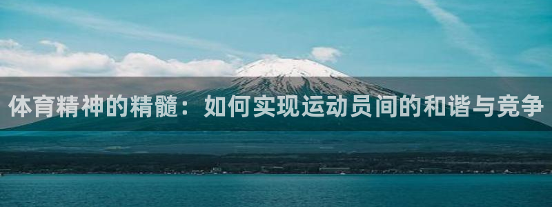 JJB竞技宝官方正版app娱乐首页网站大全：体育精神