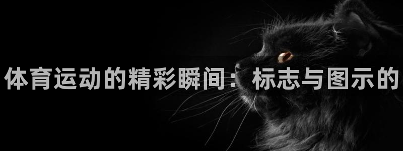 JJB竞技宝官网下载平台：体育运动的精彩瞬间：标志与