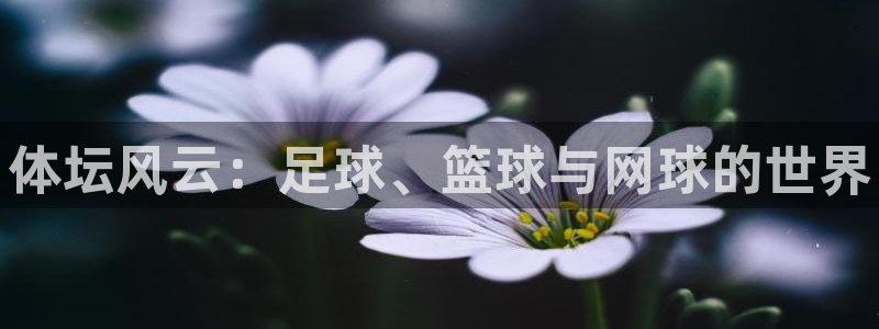 JJB竞技宝官方正版app娱乐下载：体坛风云：足球、