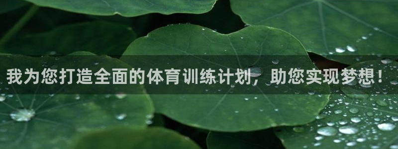 JJB竞技宝官网下载娱乐：我为您打造全面的体育训练计