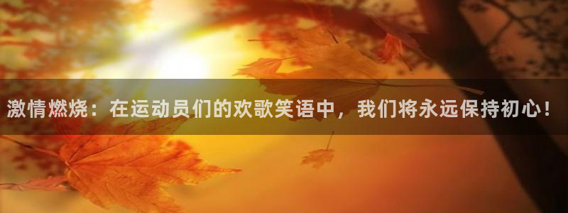 JJB竞技宝官方正版app代理：激情燃烧：在运动员们