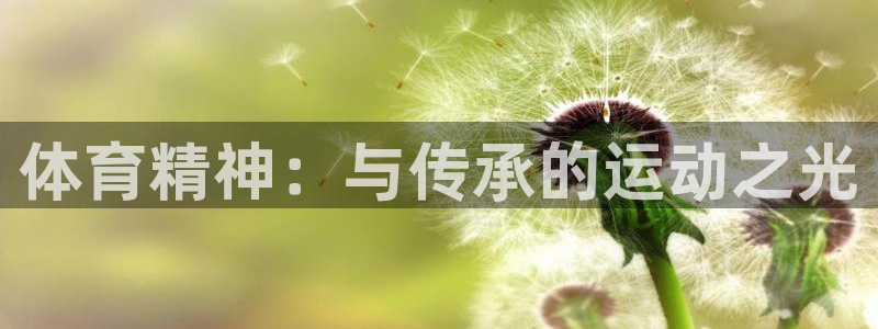 JJB竞技宝官方正版app集团logo：体育精神：与传承的运