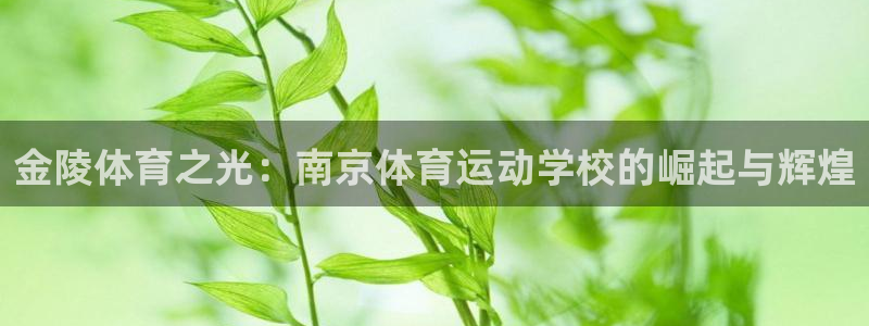 JJB竞技宝官方正版app集团官网首页网址：金陵体育之光：南