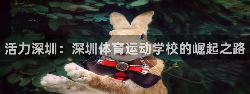 JJB竞技宝官网下载平台是正规平台吗安全吗
