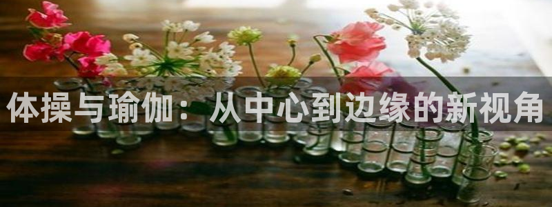 JJB竞技宝官方正版app科技：体操与瑜伽：从中心到