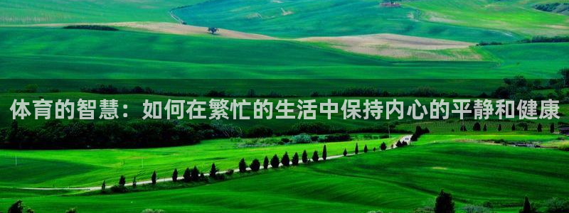 JJB竞技宝官网下载招商：体育的智慧：如何在繁忙的生