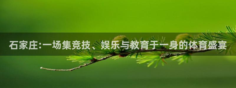 JJB竞技宝官网下载联系电话：石家庄:一场集竞技、娱