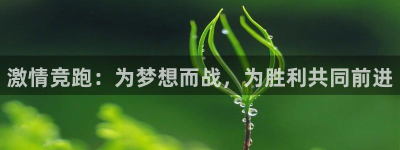 JJB竞技宝官网下载招商电话地址查询：激情竞跑：为梦想而战，