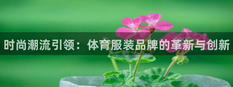 JJB竞技宝官方正版app娱乐40996：时尚潮流引领：体育