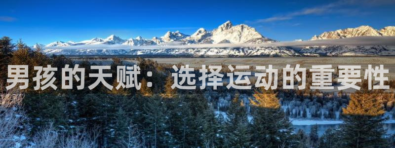 JJB竞技宝官网下载平台是正规平台吗知乎：男孩的天赋