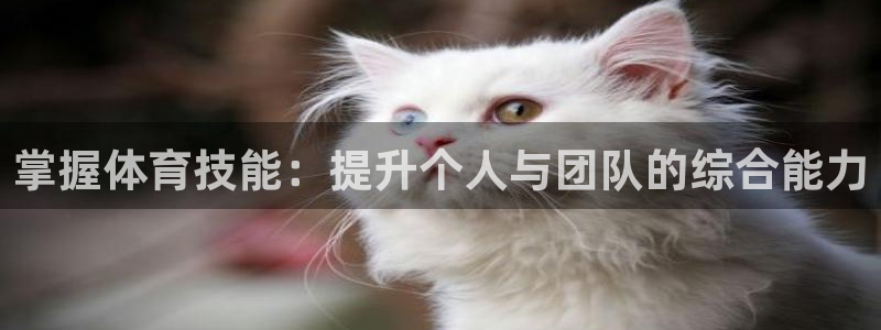 JJB竞技宝官方正版app五金厂：掌握体育技能：提升个人与团