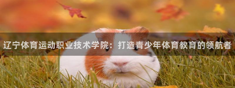 JJB竞技宝官方正版app娱乐网站