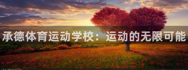 JJB竞技宝官方正版app集团：承德体育运动学校：运动的无限
