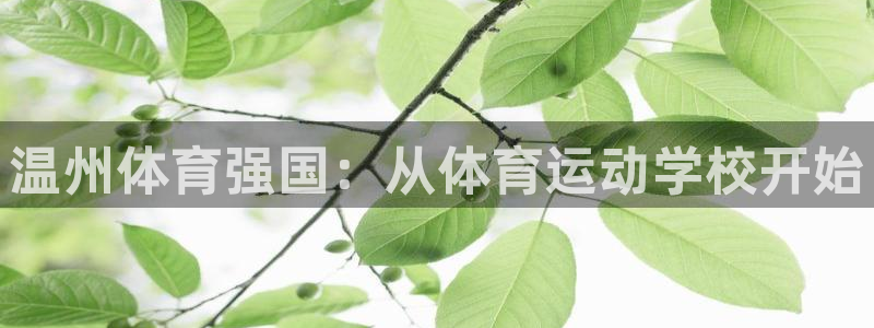 JJB竞技宝官方集团官网：温州体育强国：从体育运动学校开始