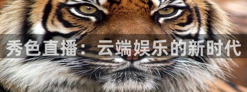 极速体育体育吧直播：秀色直播：云端娱乐的新时代