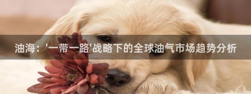 极速体育在线播放：油海：\'一带一路\'战略下的全球油气市场趋势分析
