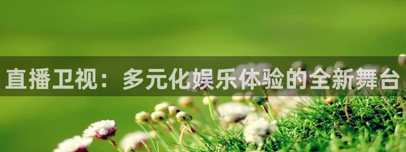 极速体育极速体育直播nba：直播卫视：多元化娱乐体验的全新舞台