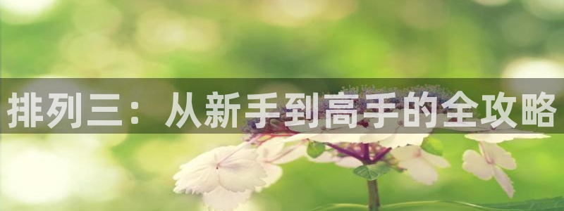 极速体育直播nba在线视频直播：排列三：从新手到高手的全攻略