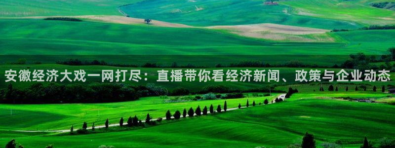 nba在线直播吧极速体育：安徽经济大戏一网打尽：直播带你看经济新闻、政策与企业动态