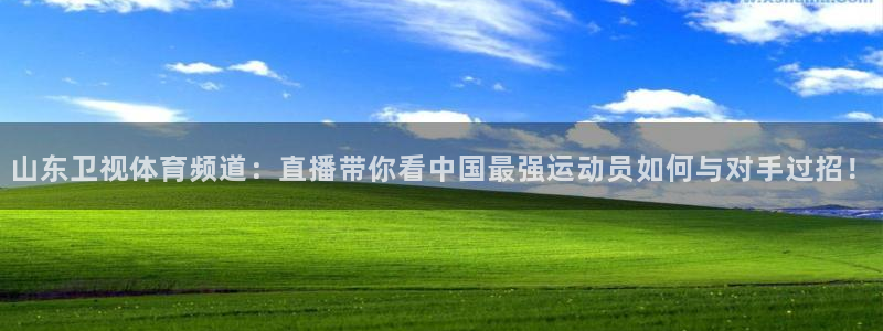 体育直播极速：山东卫视体育频道：直播带你看中国最强运动员如何与对手过招！